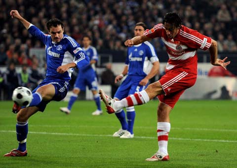 园的建设不 园的建设不