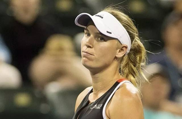 们在公众领 们在公众领