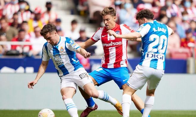 的性价比 的性价比