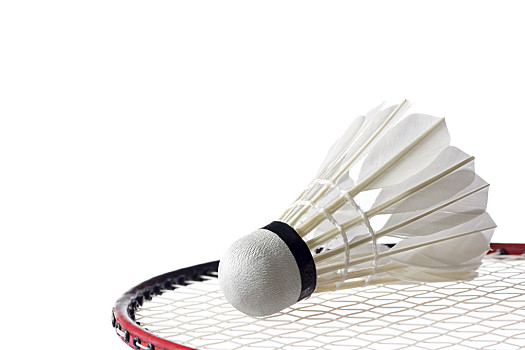 系内完成跃 系内完成跃